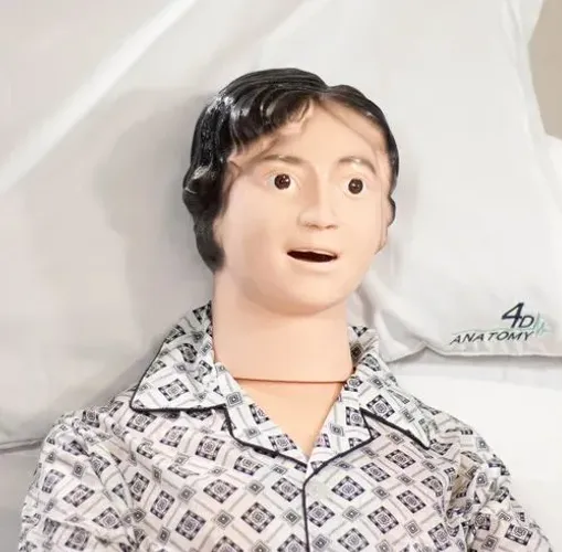 Boneco Simulador Clínico Profissional Feminino Corpo Inteiro<br>