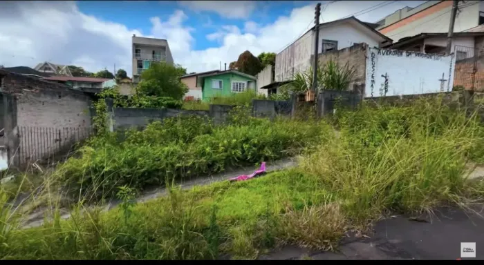 Corte de Grana Profissional 