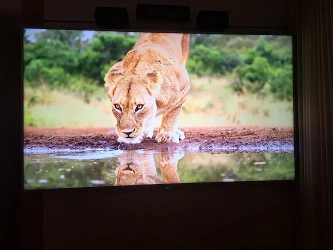 TV 75 POLEGADAS SONY Bravia