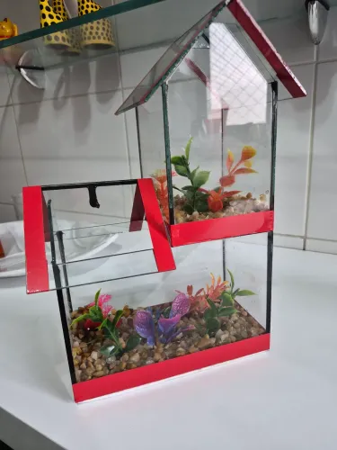 Aquario dois andares com divisória 