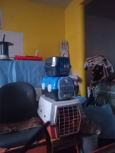 Vendo caixas de transporte,  vários tamanhos