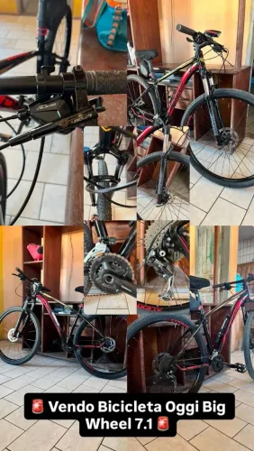 Bike Oggi Big Wheel 7.1