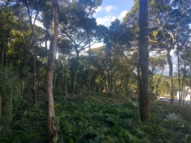 Terreno em Quitandinha 350mts2