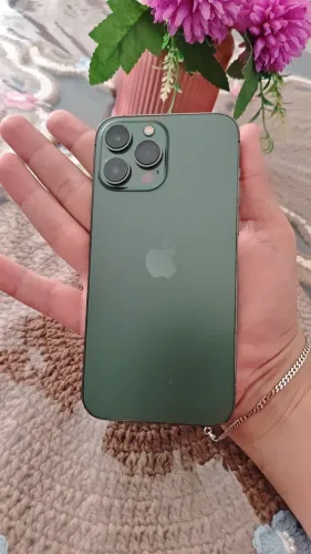 iPhone 13 pro Max 128 gb (conservado)