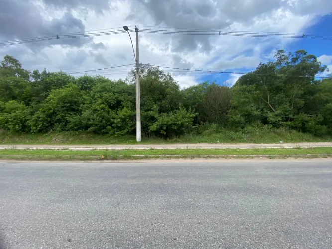 Terreno comercial à venda na Leopoldo Brod, Três Vendas - com área total de 7.000 m² e óti