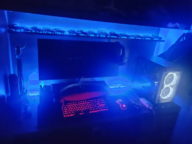 PC gamer