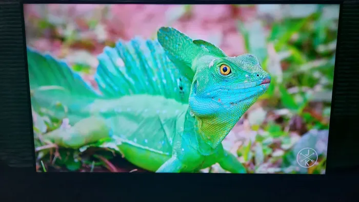 TV 50' SAMSUNG 4K SMART