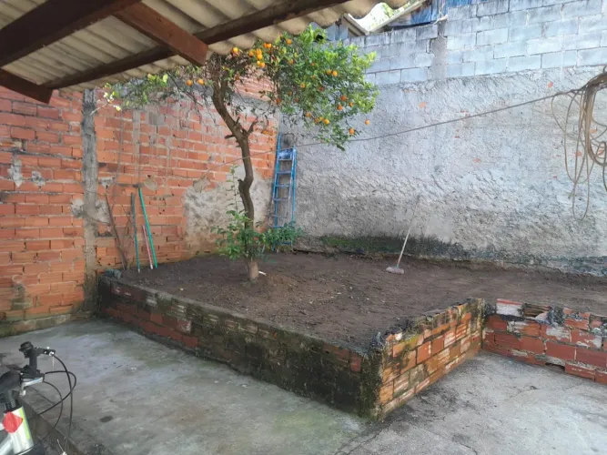 Limpeza de quintais e lotes