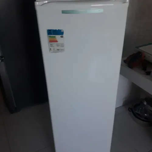 FREEZER CONSUL