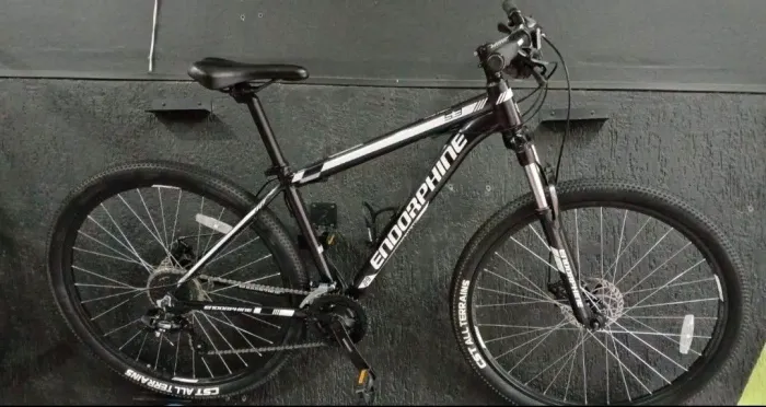 BICICLETA ENDORPHINE 5.3
