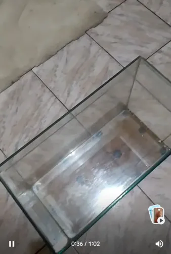 Aquário