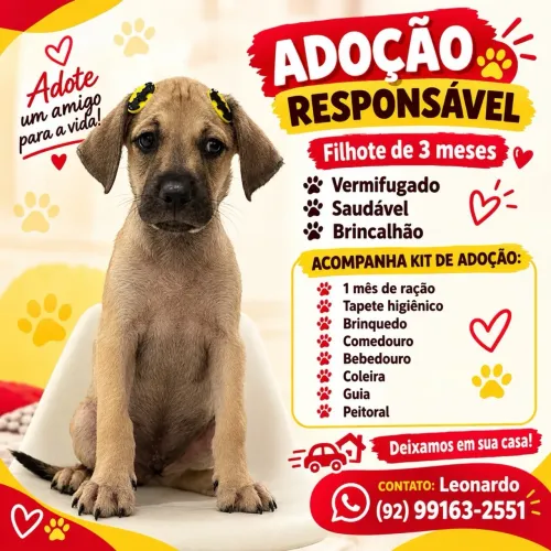 Doação responsável