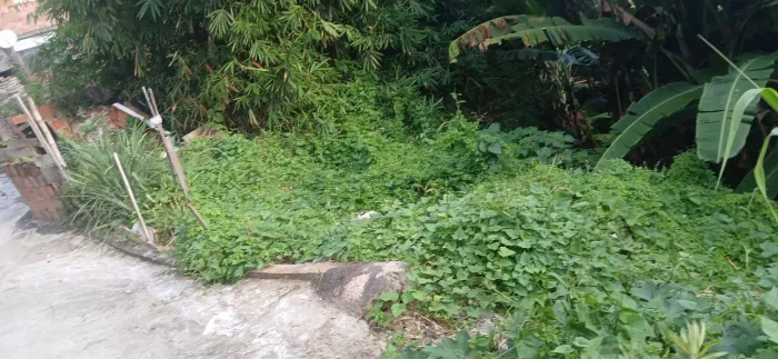 Terreno em Vila mar