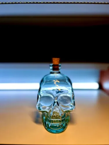Garrafa Caveira Cranio Bebidas