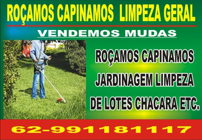 Limpeza de lote chácaras etc... *