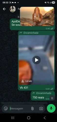Violino