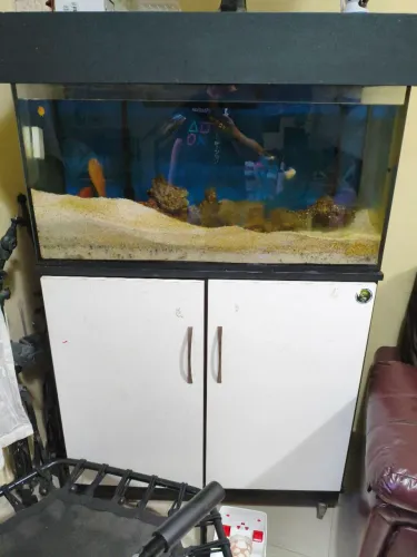 Aquário 200 litros