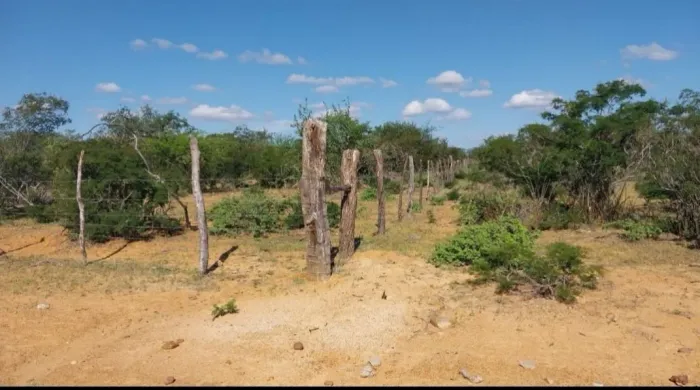 Roça em Santa Maria próximo a Sobradinho- Ba  