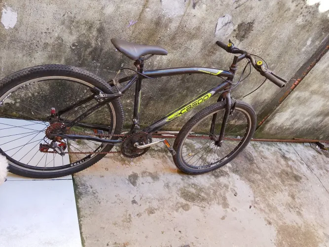 Bicleita 