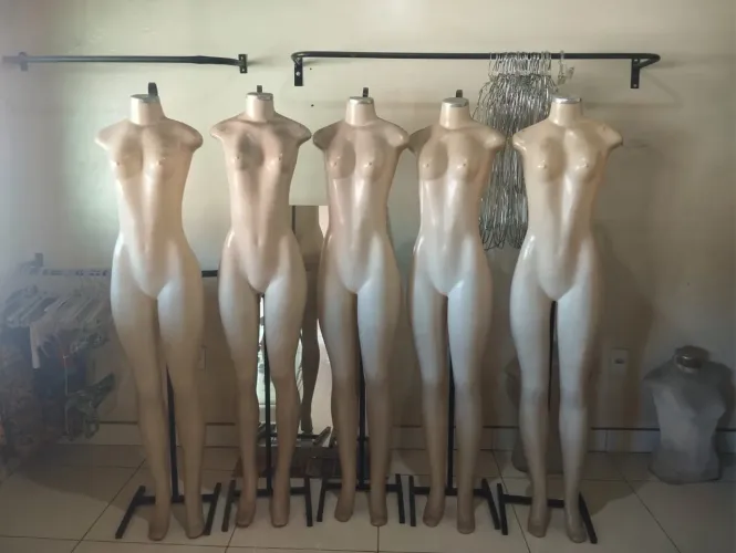Araras de Parede + Busto Feminino 