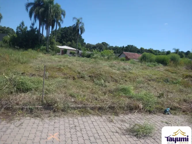 Ótimo terreno em Vera Cruz, com dimensões de 12,00 metros de frente por 33,60 metros de pr