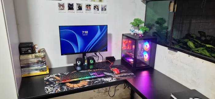 Setup Gamer