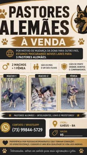 VENDO 3 PASTORES ALEMÃES