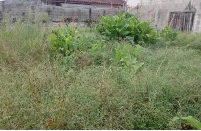 Vendo Terreno no Guajará - Com recibo - TEM CONVERSA