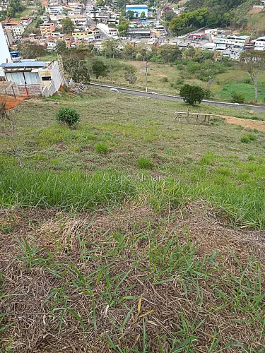 Lote / Terreno - Nova Gramado