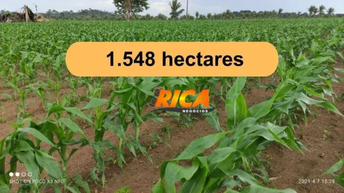 Vende-se uma excelente fazenda no distrito de 180 município de Manicoré/AM
