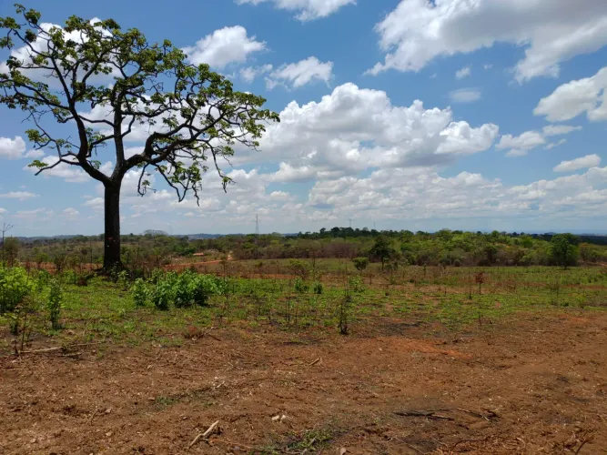 Fazendinhas em Matozinhos/MG de 20.000m² com muito verde!!