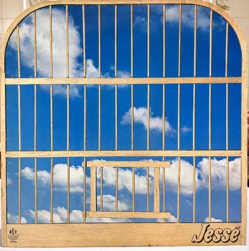 2 LP 12 polegadas do cantor Jessé