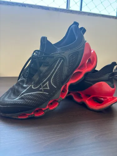 Mizuno prophecy 14 (original) TAM 41