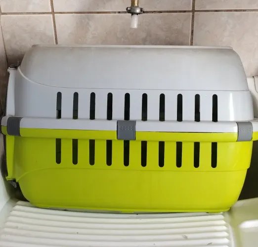 Caixa de transporte pet