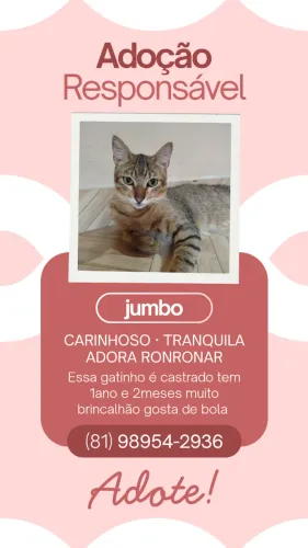 Adoção responsável 