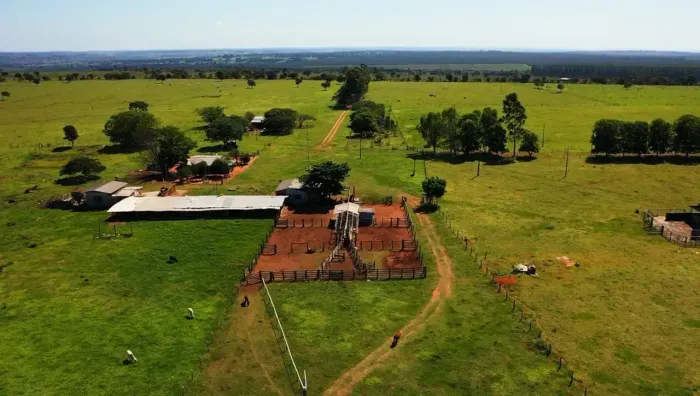 FAZENDA A VENDA COM 546 HECTARES A 45KM DE CAMPO GRANDE