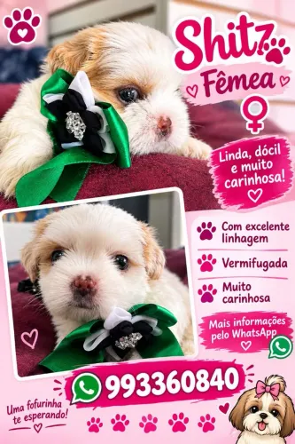 Branquinha a venda
