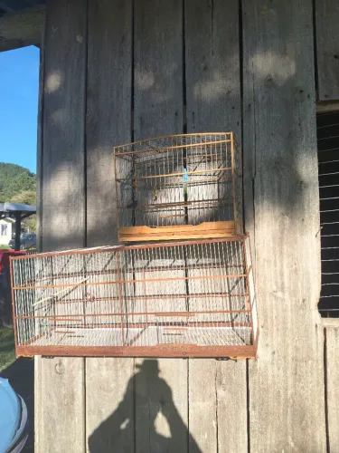 Gaiolas duas