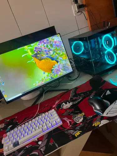 PC gamer