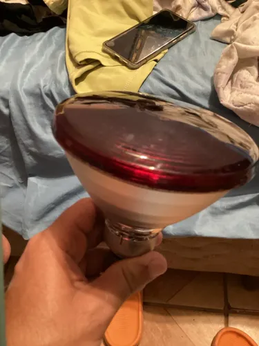 Lâmpada Philips infravermelho