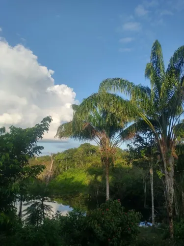 Vendo este Sitio