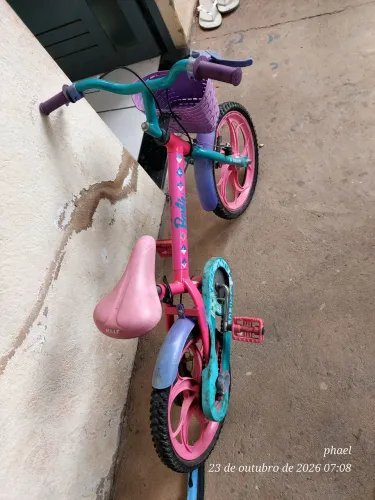 Bicicleta Infantil
