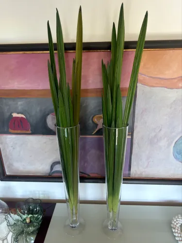 Par de Vasos Solitários de Vidro Alto + Folhagens Decorativas