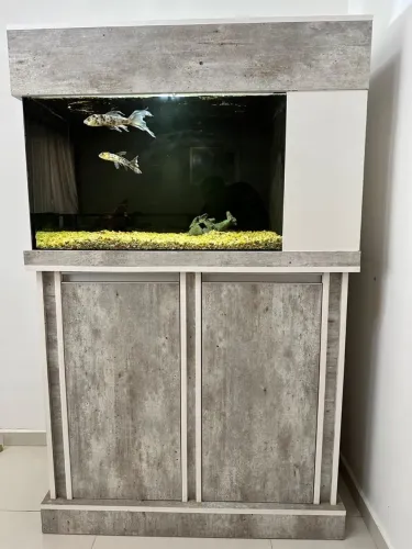 Aquário 250 litros com balcão