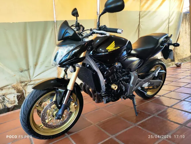 Hornet 2010