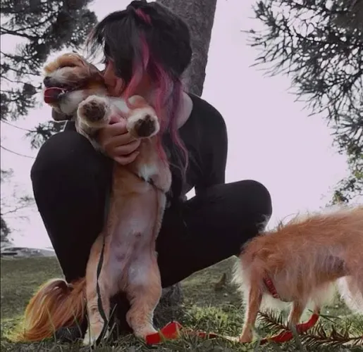 PETSITTER DOMICILIAR