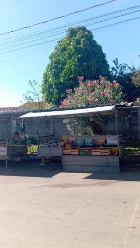 Vendo carretinhas 