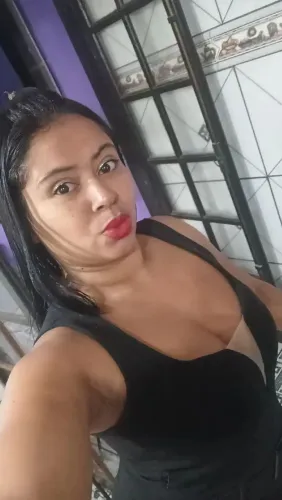 Diarista 