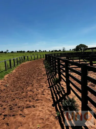 Fazenda para venda em Pontinha do cocho beira de asfalto em Camapuã - MS