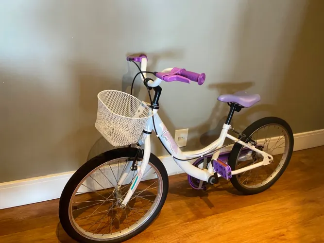 Bicicleta Ceci Aro 20